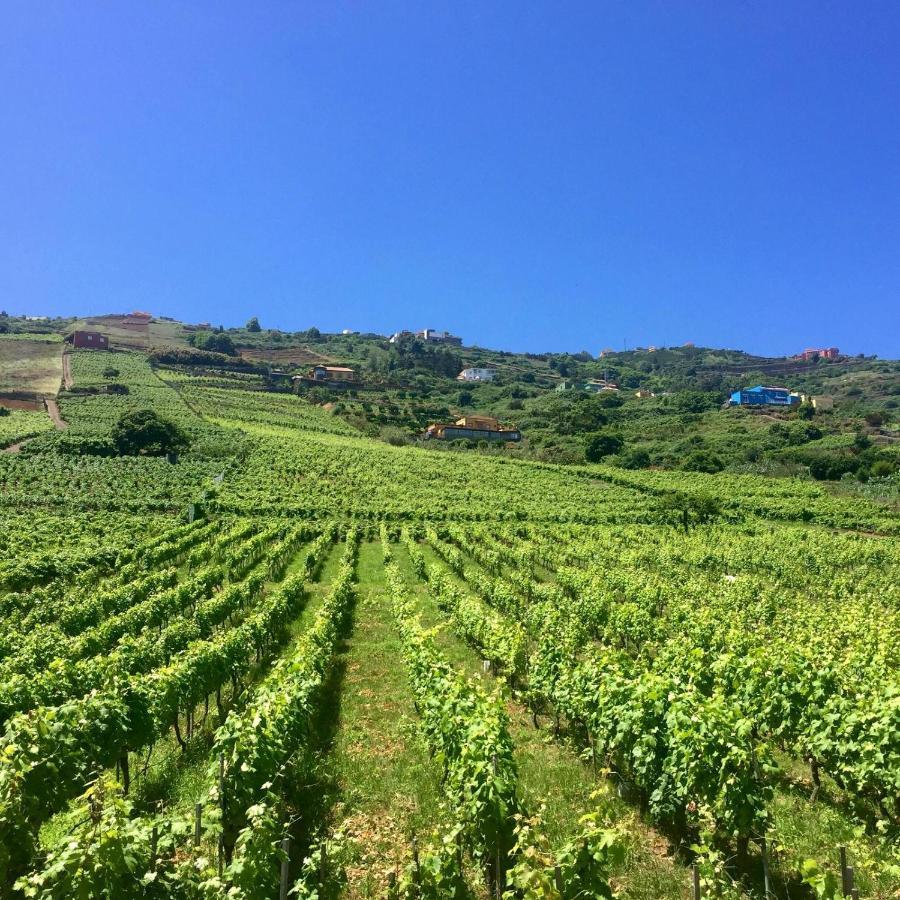 Casa Rural El Esquilon Tenerife لا أوروتافا المظهر الخارجي الصورة